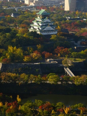 大阪城公園の紅葉と天守閣