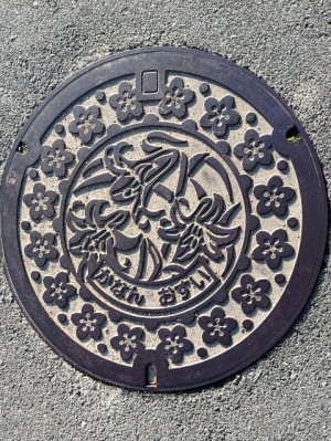 河南町のマンホールのふた　大阪