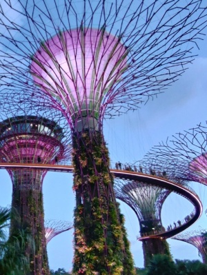 ガーデンズバイザベイのスーパーツリーグローブ　シンガポール