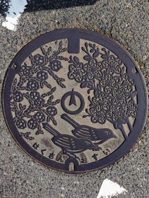 津市白山町のマンホールのふた　三重県