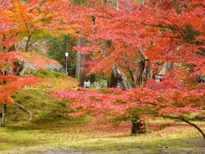 南禅寺のモミジの紅葉　京都