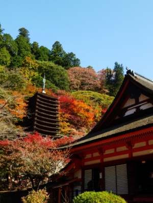 談山神社の十三重塔と紅葉　奈良