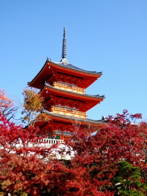 清水寺の三重塔と紅葉　京都