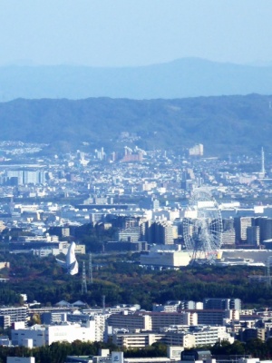 エキスポシティの大観覧車大阪ホイールと万博公園の太陽の塔